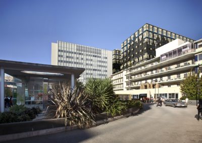 Royal Hobart Hospital: Early Works Packages